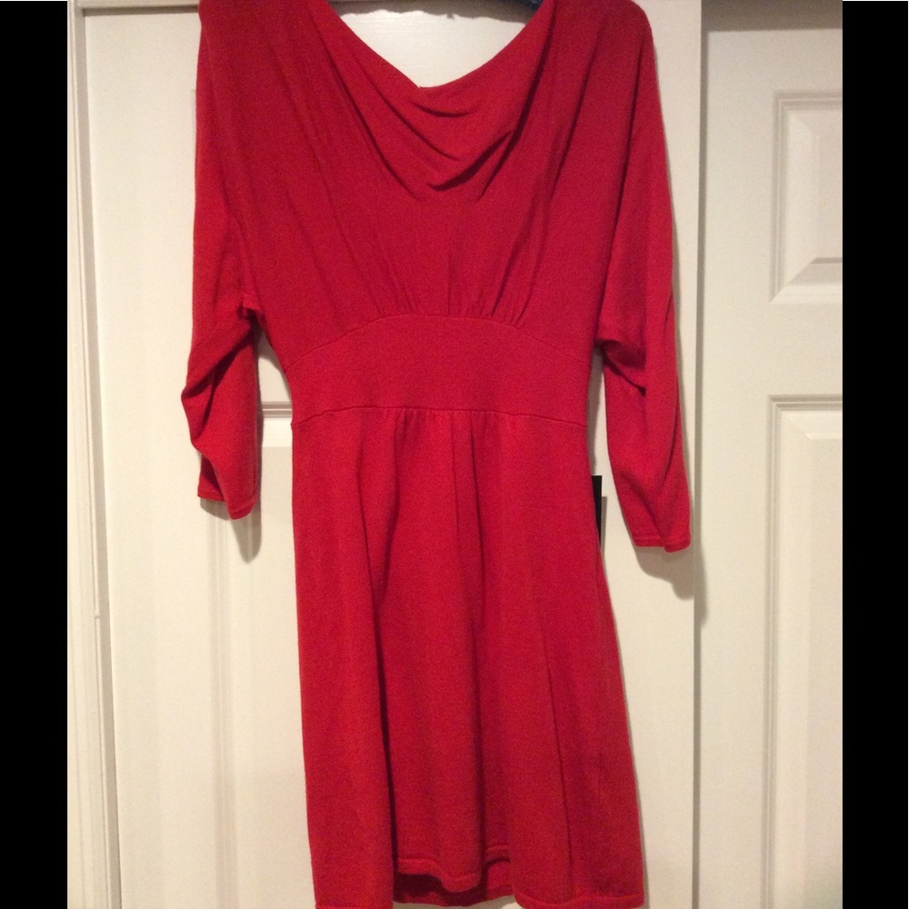 Express Sweater Dress